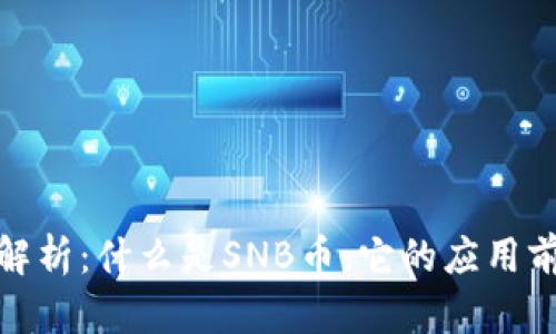 虚拟SNB币全解析：什么是SNB币，它的应用前景和投资潜力