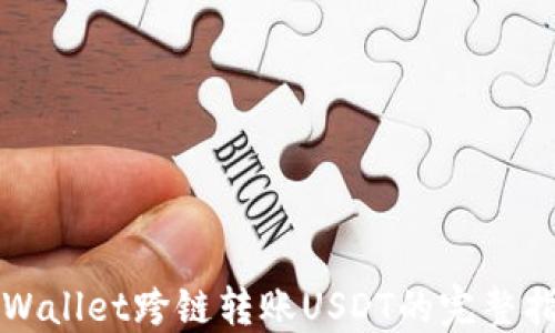 
TPWallet跨链转账USDT的完整指南