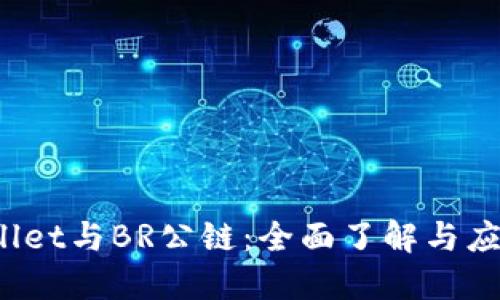  TPWallet与BR公链：全面了解与应用探讨