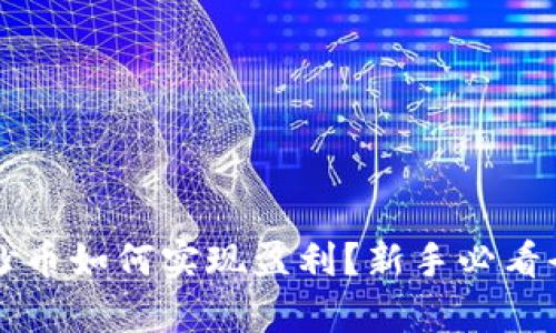 虚拟币抄币如何实现盈利？新手必看全面解析