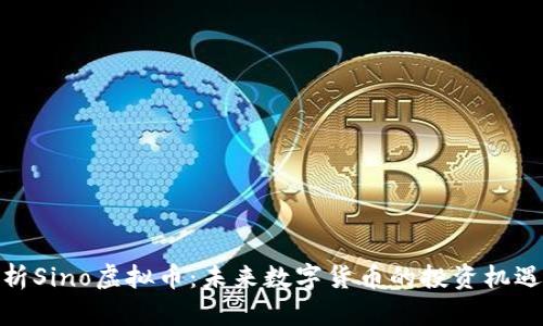 全面解析Sino虚拟币：未来数字货币的投资机遇与风险