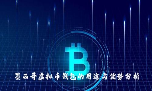 墨西哥虚拟币钱包的用途与优势分析