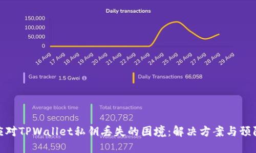 如何应对TPWallet私钥丢失的困境：解决方案与预防措施