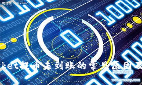 TokenPocket提币未到账的常见原因及解决方法