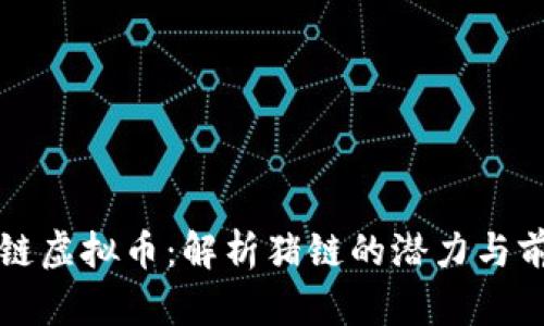 猪链虚拟币：解析猪链的潜力与前景