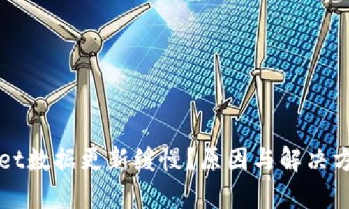 TPWallet数据更新缓慢？原因与解决方案解析