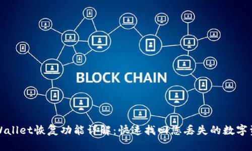 TPWallet恢复功能详解：快速找回您丢失的数字资产