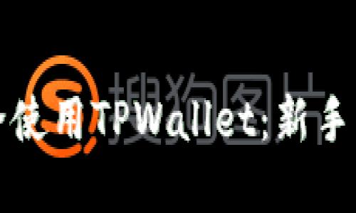 如何在国内安全使用TPWallet：新手指南与实用技巧