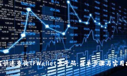 如何快速查询TPWallet卡号码：简单步骤与实用技巧