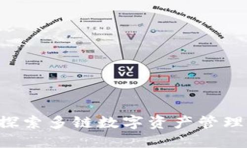 TPWallet：探索多链数字资产管理的创新平台