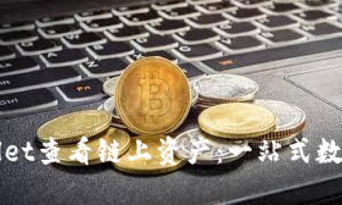 如何通过TPWallet查看链上资产：一站式数字资产管理工具