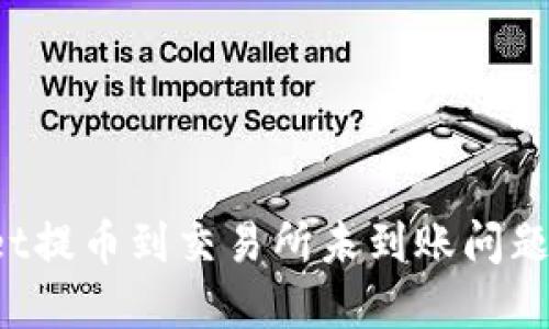 如何解决TPWallet提币到交易所未到账问题？详细指南与技巧