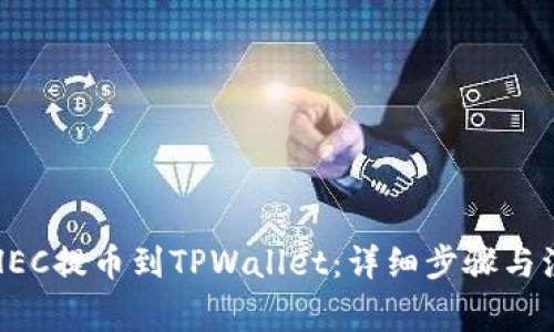 如何将HEC提币到TPWallet：详细步骤与注意事项