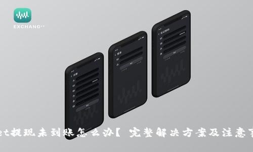 TPWallet提现未到账怎么办？ 完整解决方案及注意事项指导