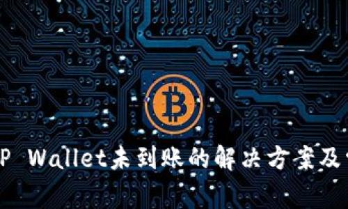 货币提币到TP Wallet未到账的解决方案及常见问题解析