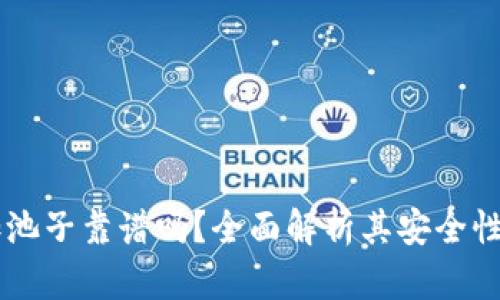 TPWallet加池子靠谱吗？全面解析其安全性与收益潜力