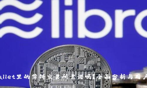 TPWallet里的薄饼交易所靠谱吗？全面分析与用户指南