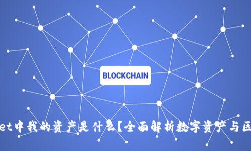 : TPWallet中我的资产是什么？全面解析数字资产与区块链钱包