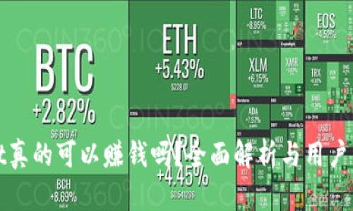 tpwallet真的可以赚钱吗？全面解析与用户经验分享